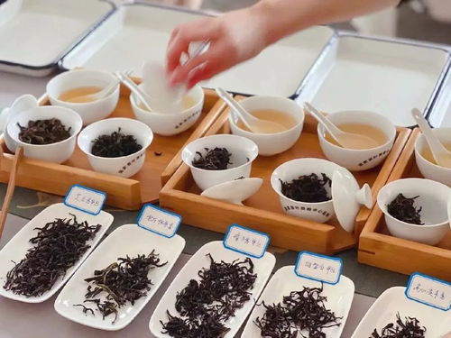 食品安全國(guó)家標(biāo)準(zhǔn) 茶葉 gb 31608 2023