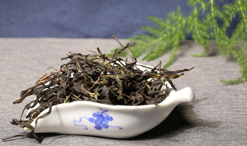 詳解野生茶和野放茶的區別和聯系