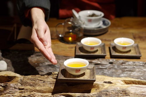 智匯芽協(xié)助福元昌普洱茶運(yùn)營抖音賬號,確定合作關(guān)系